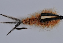  Mira esta foto de atado de moscas para Trucha arcoiris de Marcelo Morales – Fly dreamers