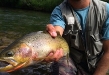Austen S 's Fly-fishing Picture of a Cutthroat – Fly dreamers 