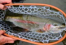 Ted Bryant 's Fly-fishing Photo of a Rainbow trout – Fly dreamers 