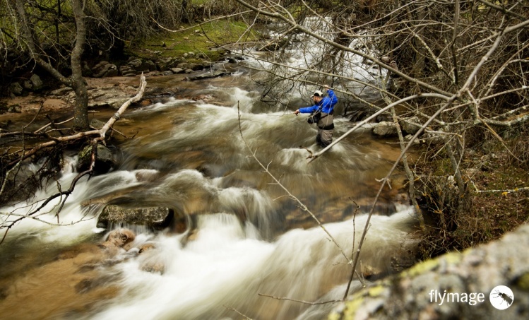 Fly fishing for trout in Madrid.