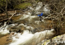 Brown trout Fly-fishing Situation – Jose H. Weigand shared this () Image in Fly dreamers 