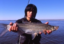 Fly fishing in Amur 2007