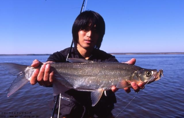 Fly fishing in Amur