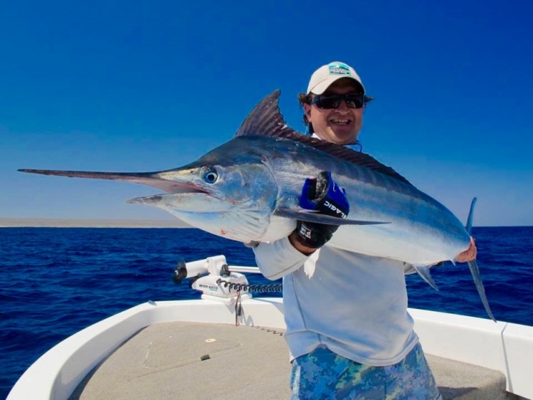 Black Marlin on the Fly, September RUN, Western Australia