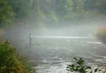 Sweet Fly-fishing Situation of King Threadfin Salmon shared by Mark Mason 