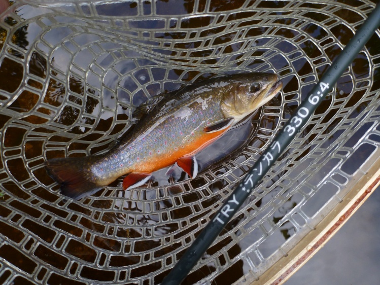 It´s Tenkara Time!