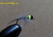 Trout flies from South Africa