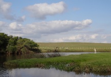  Tararira Azul – Situación de Pesca con Mosca – Por Teotimo Becu