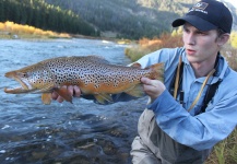 Jeremy Clark 's Fly-fishing Photo of a Brown trout – Fly dreamers 