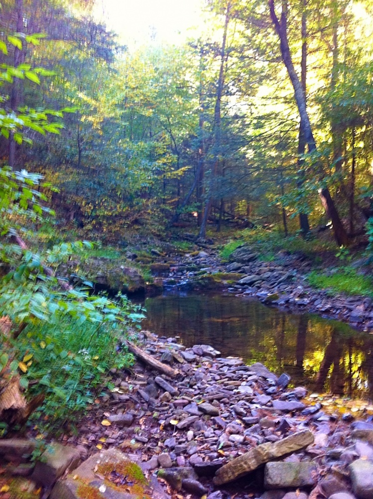 This pool is where my trip began. Check out my blog post about this blue line here: <a href="https://eastcoastflyguy.wordpress.com/2014/09/28/trifecta-in-rockingham-county/">https://eastcoastflyguy.wordpress.com/2014/09/28/trifecta-in-rockingham-county/</a>