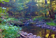  Foto de Situaciones de Pesca con Mosca por Brad Billings – Fly dreamers