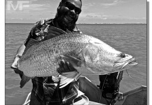  Fotografía de Pesca con Mosca de Barramundi compartida por Thad Robison – Fly dreamers