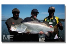 Fly-fishing Pic of Barramundi shared by Thad Robison – Fly dreamers 
