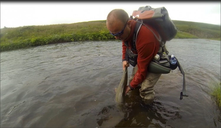 Rilascio del Salar - catch and release ;-)