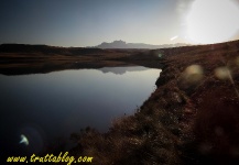 Great Fly-fishing Situation of Rainbow trout - Image shared by Andrew Fowler – Fly dreamers