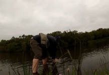 Tornasoles en uruguay (Hoplias lacerdae)