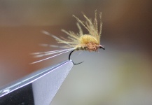 Interesting Fly-tying Photo by Stig M. Hansen 