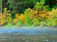 Foto de pesca con mosca