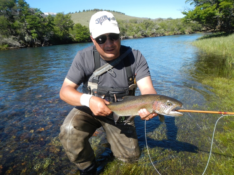 Linda arcoiris del Malleo con una Madera # 5.