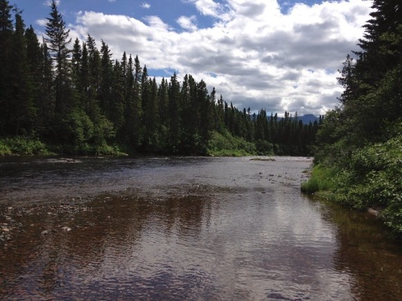 Gaspé Adventure