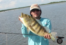  Foto de Pesca con Mosca de Tucunare - Pavón compartida por Caio  Junqueira – Fly dreamers