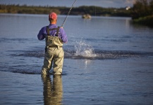 Silver salmon Fly-fishing Situation – John Perry shared this Pic in Fly dreamers 