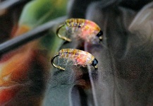 Fly-tying for Steelhead - Picture shared by Tom Ballard – Fly dreamers