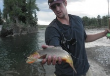 Fly-fishing Pic of Cutthroat shared by Luke Metherell – Fly dreamers 