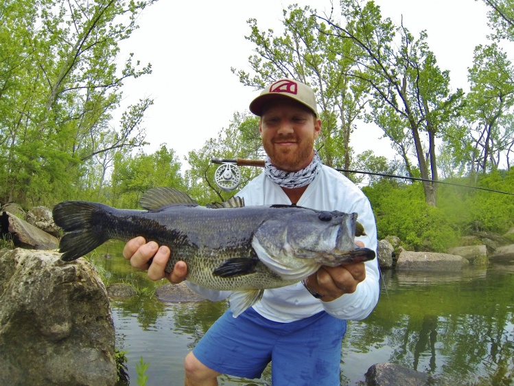 Health largemouth from Lady Bird Lake in Austin Texas