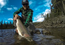 Andrew Hardingham 's Fly-fishing Pic of a Steelhead – Fly dreamers 