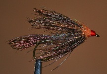 Ariel Garcia Monteavaro 's Sweet Fly-tying Picture – Fly dreamers 
