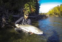 Fly-fishing Pic of Steelhead shared by Andrew Hardingham – Fly dreamers 