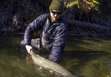 Fly-fishing Picture of Steelhead shared by Andrew Hardingham – Fly dreamers