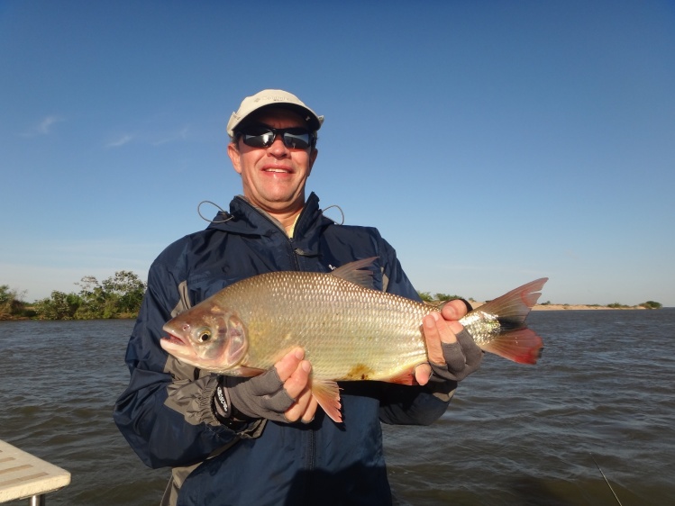 Golden Fly Fishing - Argentina
High Paraná River