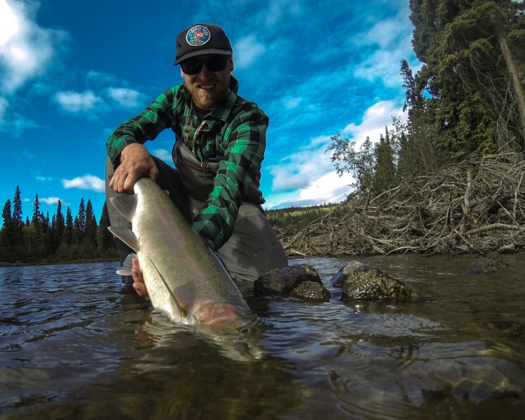 i was really fortunate. the first 20 casts of my trip i landed two fish. that really is rare. they call the steelhead "the fish of 1000 casts".