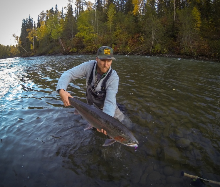 this was my favourite fish of the trip. she was a 35" HEN and really pulled. thanks big girl!