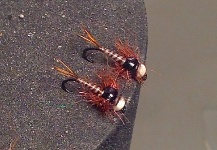 Some nymphs with multi-layered abdomens and tungsten.