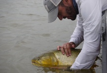 Julio Sanin 's Fly-fishing Catch of a Golden Dorado – Fly dreamers 