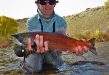 Fly-fishing Pic of Landlocked Salmon shared by Jared Martin – Fly dreamers 