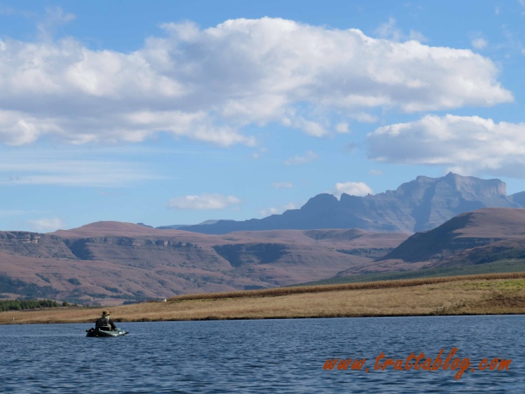 Stillwater fly-fishing