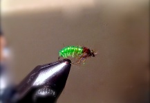 Interesting Fly-tying Pic by Bryan Frey 