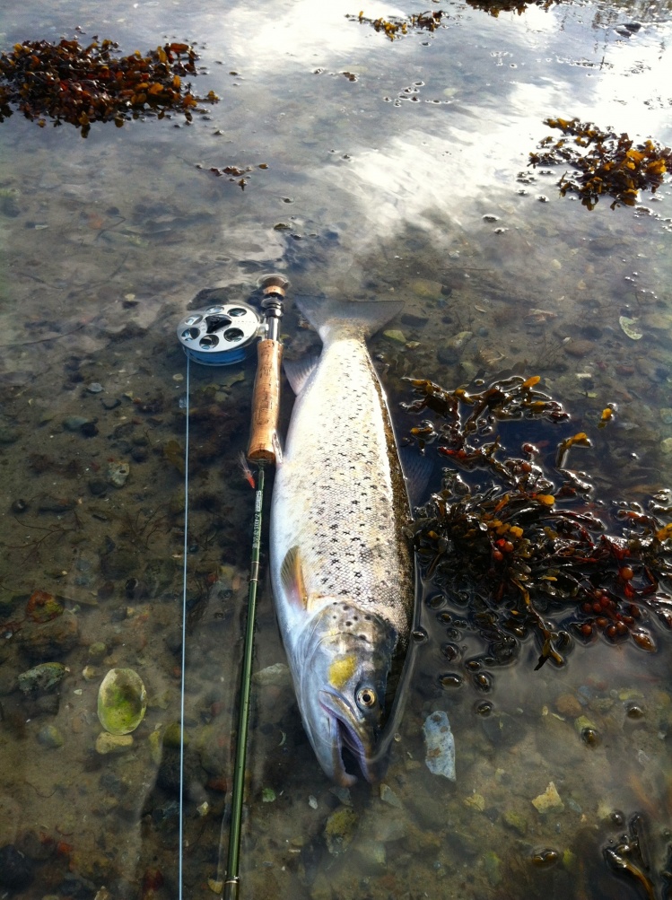 Coast fishing