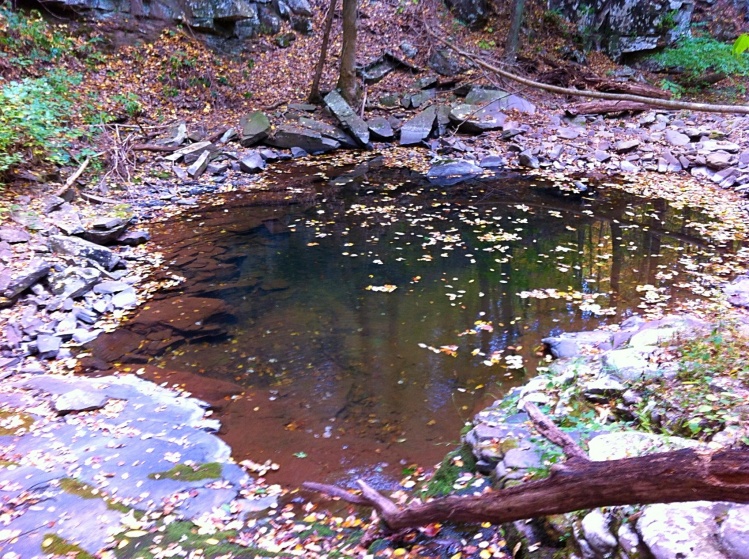 Gigantic pool filled with brook trout! Read about this trip at: <a href="http://eastcoastflyguy.wordpress.com/2014/10/12/a-week-on-the-fly/">http://eastcoastflyguy.wordpress.com/2014/10/12/a-week-on-the-fly/</a>