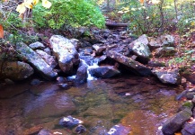 Brook trout Fly-fishing Situation – Brad Billings shared this Great Photo in Fly dreamers 