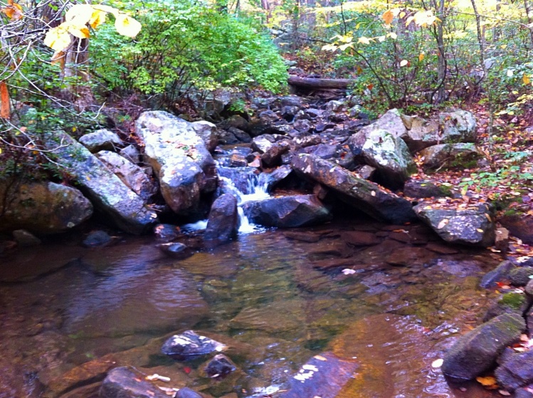 Typical mountain stream pool. Read about this trip at: <a href="http://eastcoastflyguy.wordpress.com/2014/10/12/a-week-on-the-fly/">http://eastcoastflyguy.wordpress.com/2014/10/12/a-week-on-the-fly/</a>