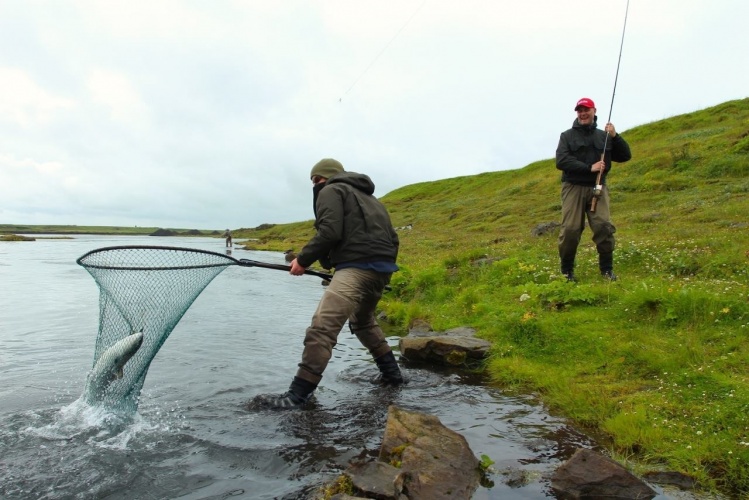 River West Ranga - salmon river in Iceland. On average over 6.000 salmon caught pr. summer.