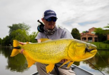 Fly-fishing Image of Golden Dorado shared by Fergus Kelley – Fly dreamers