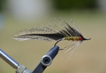 Fly-tying Photo shared by Pablo Bianchini – Fly dreamers 