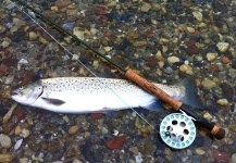 Kristian Villadsen 's Fly-fishing Photo of a Sea-Trout – Fly dreamers 