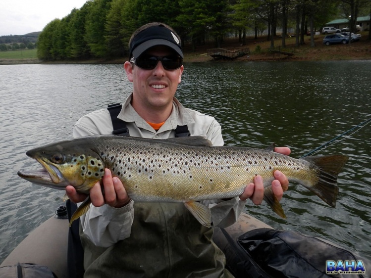 A lovely brown trout I picked up in the Underberg Himeville Trout Fishing Club waters.